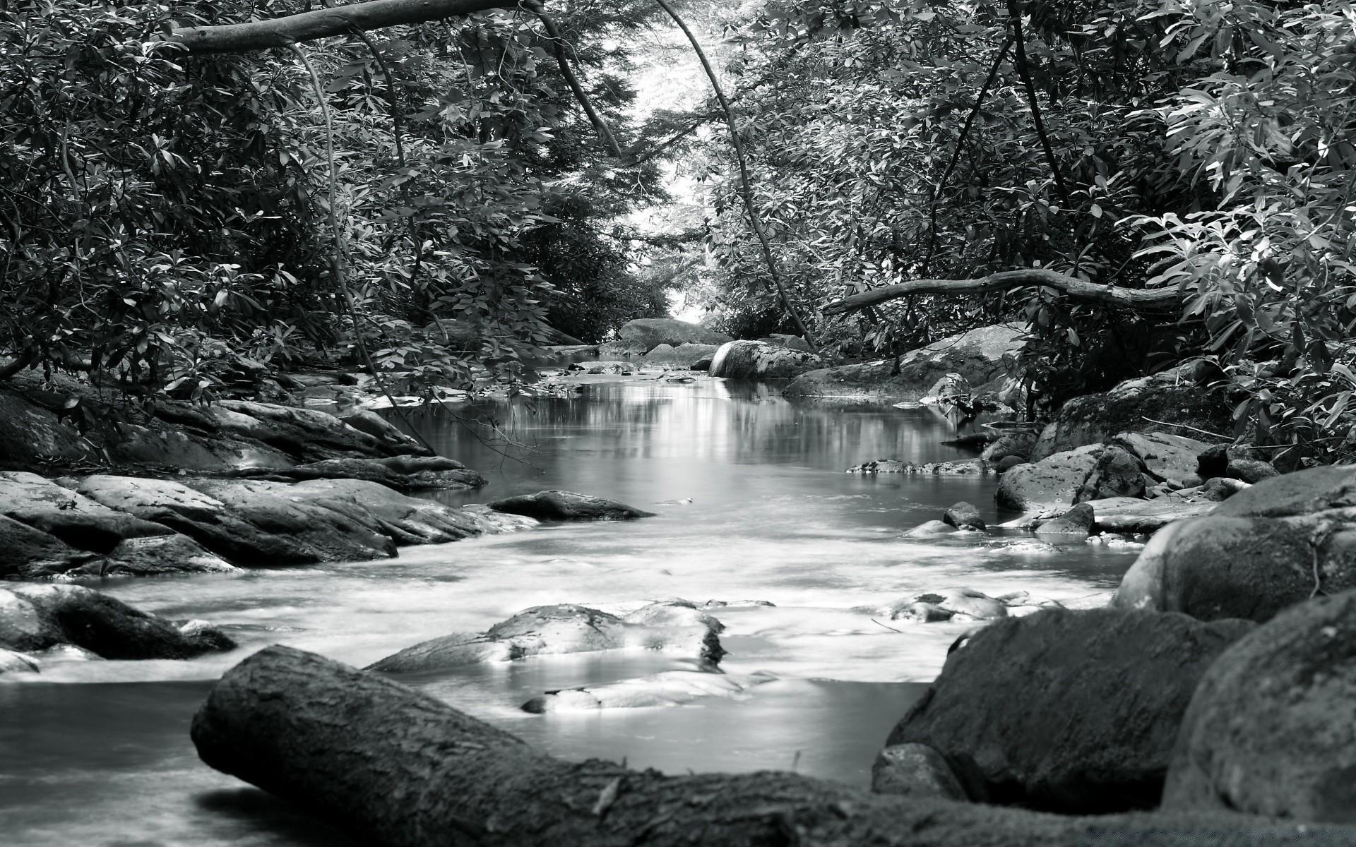 black and white water river stream nature rock waterfall creek outdoors wood landscape tree stone travel fall boulder cascade