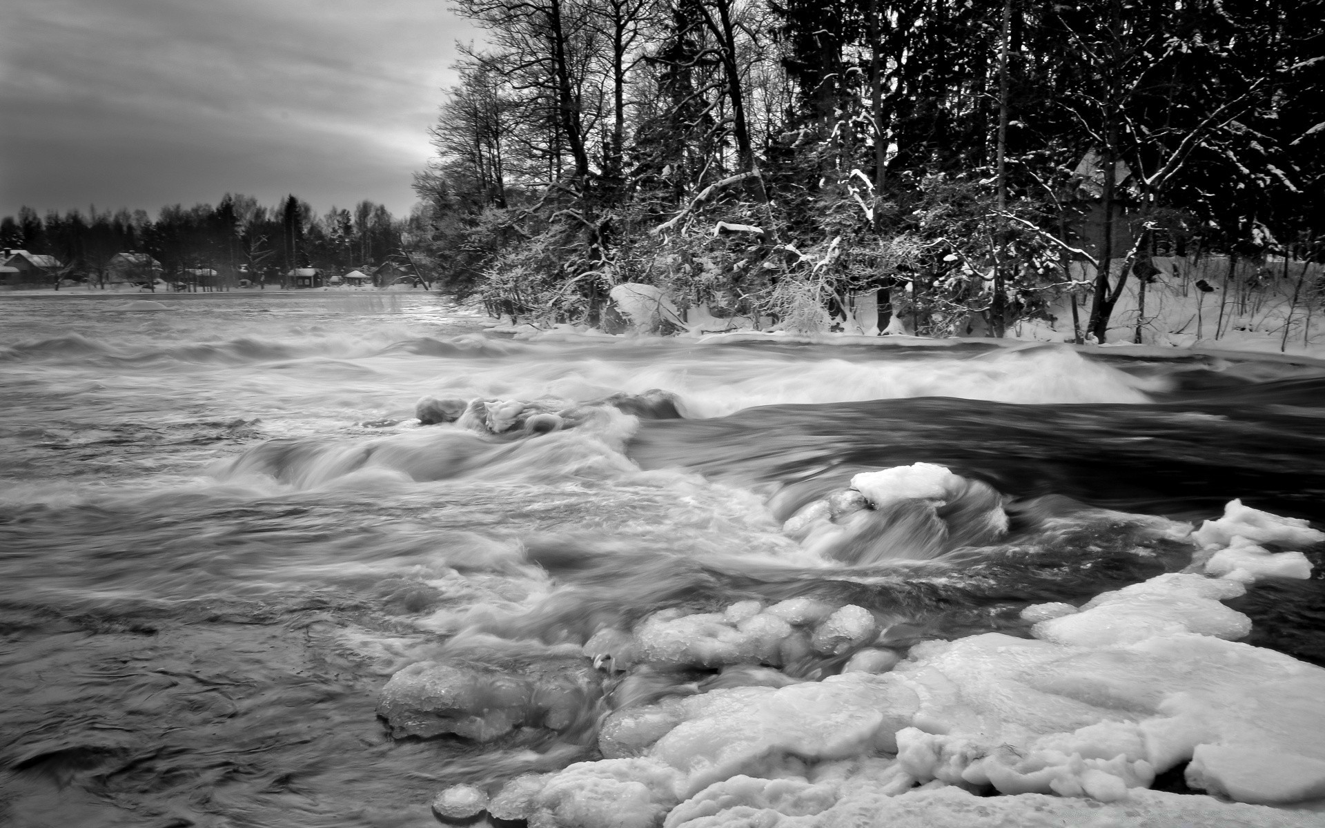 black and white water river winter landscape snow cold nature tree outdoors ice