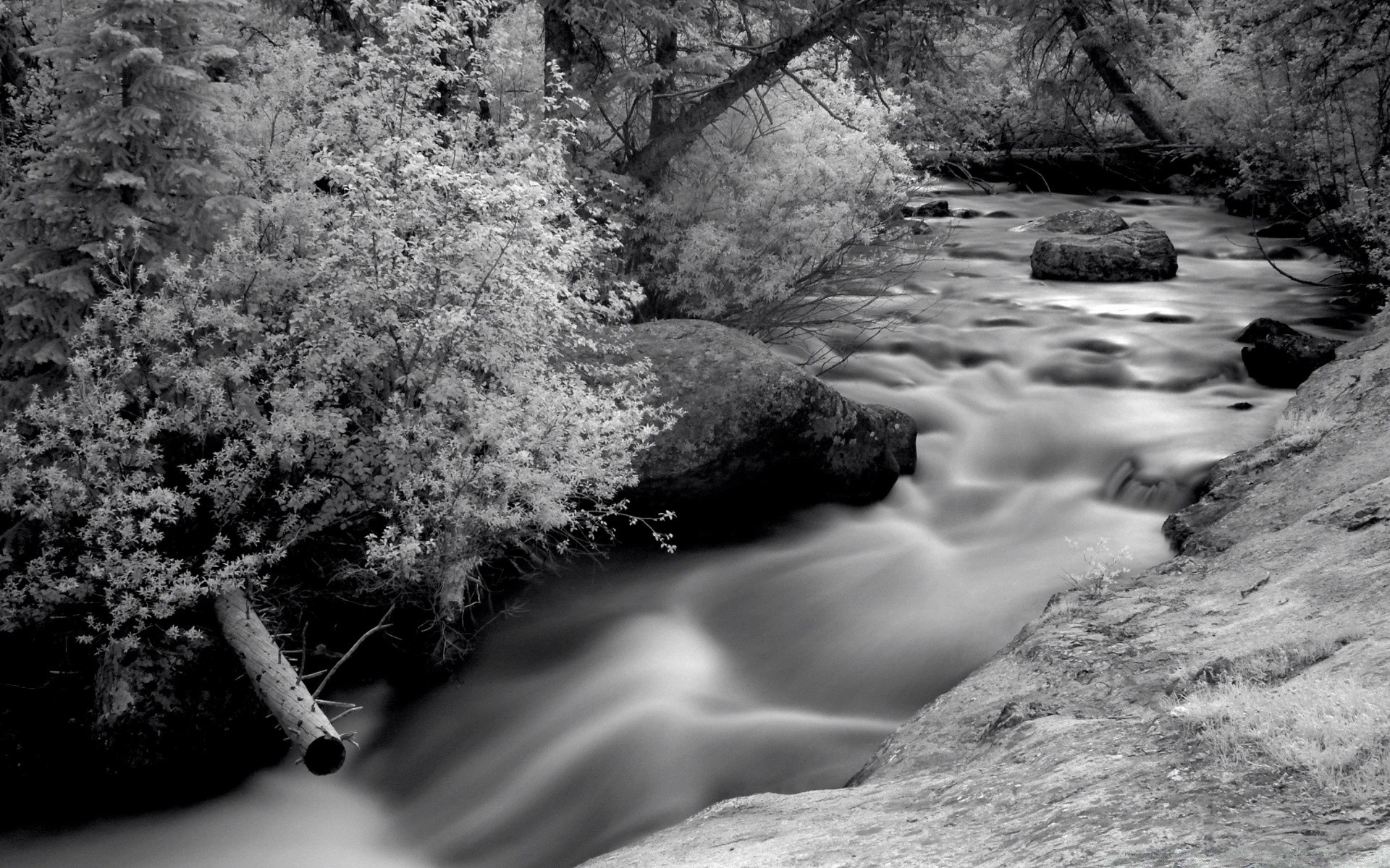 black and white water nature river waterfall landscape rock stream outdoors wood monochrome travel tree winter snow motion creek fall ice