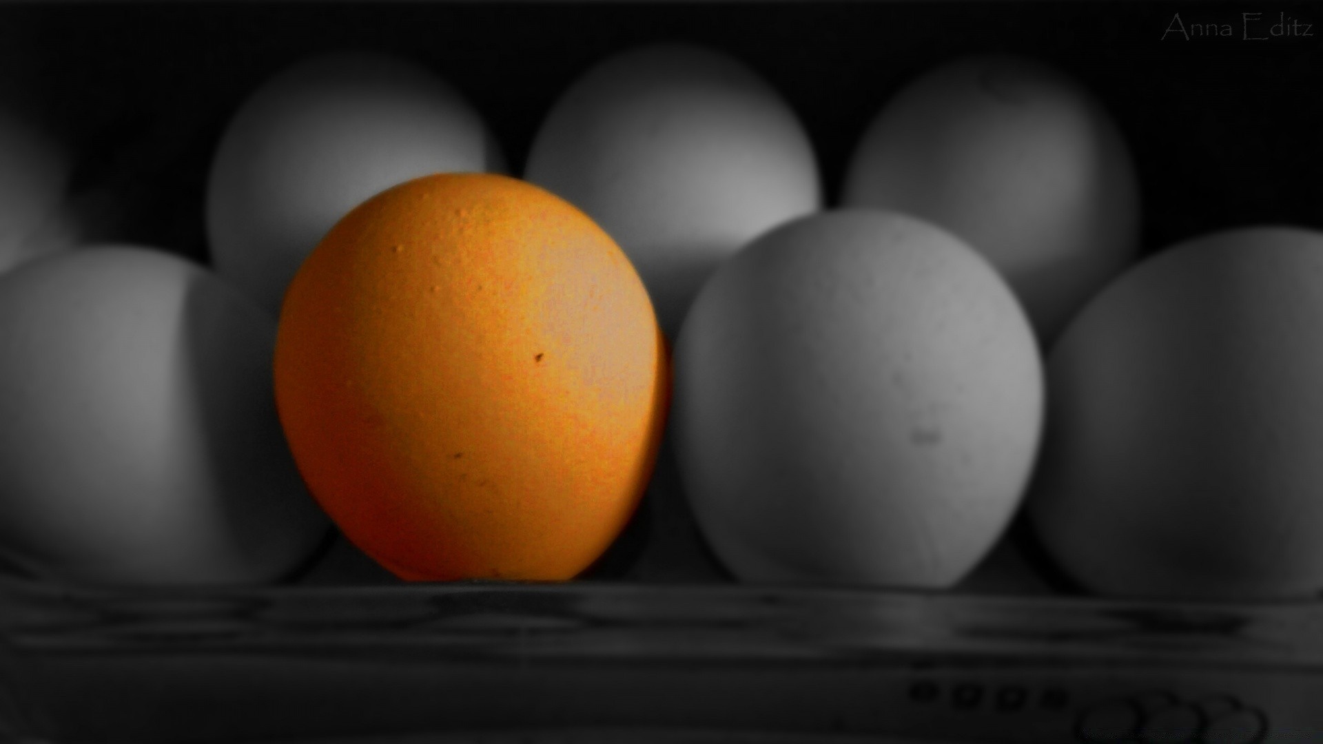 blanco y negro huevo comida pollo pascua ronda naturaleza muerta crecer aves desayuno color