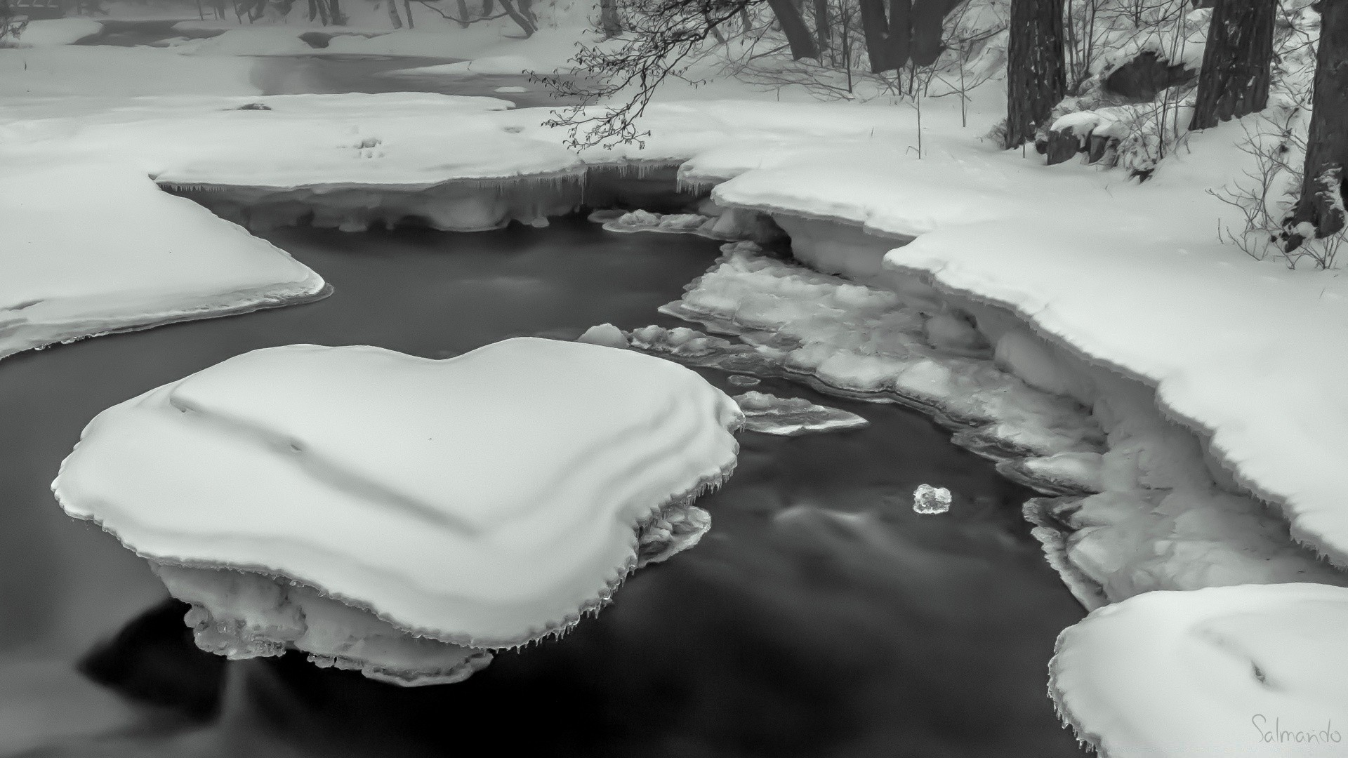 black and white snow winter water ice cold frozen river monochrome frost outdoors landscape lake travel nature wood tree