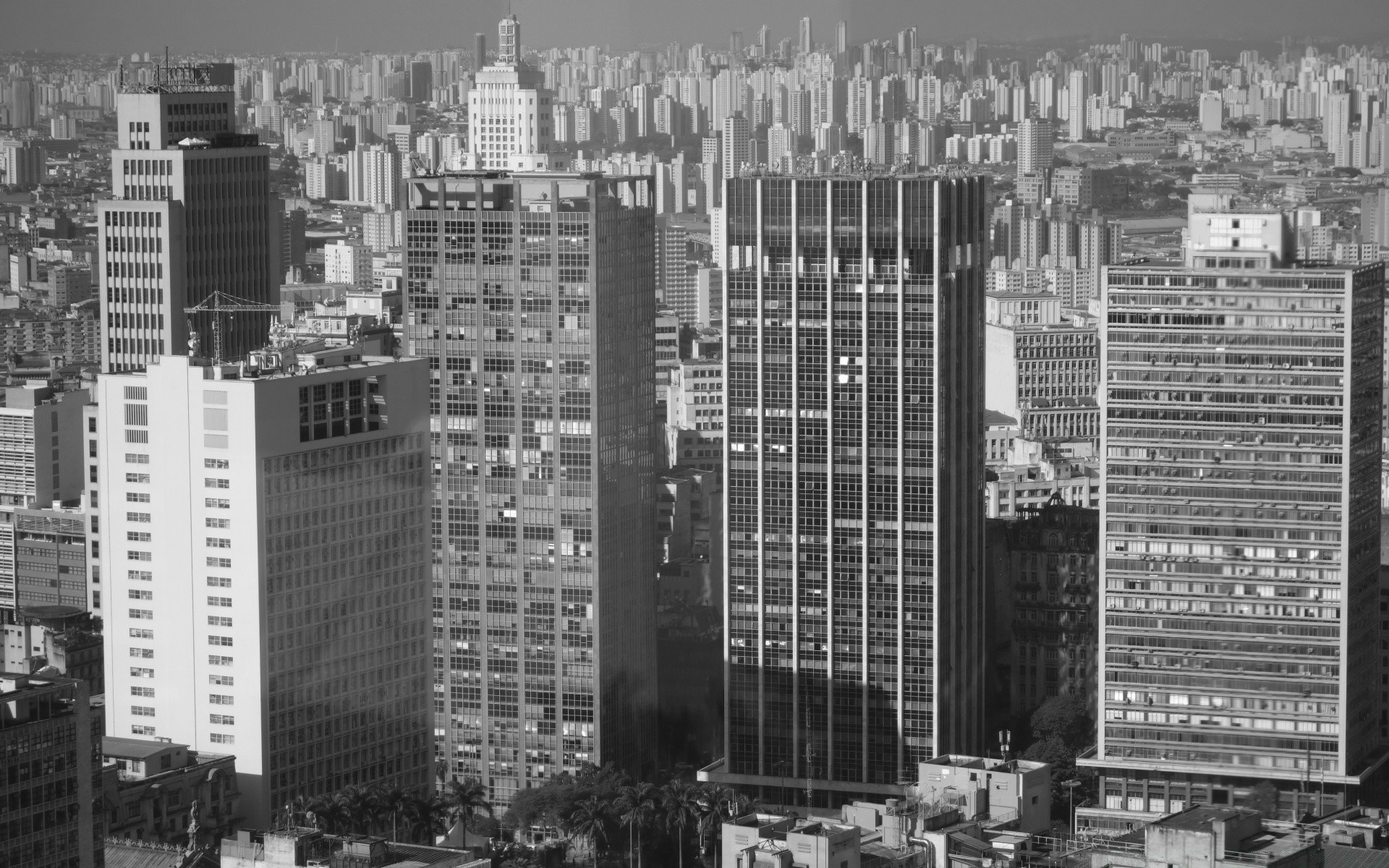 black and white skyscraper city architecture office building cityscape skyline tower travel apartment street horizontal outdoors business panoramic modern