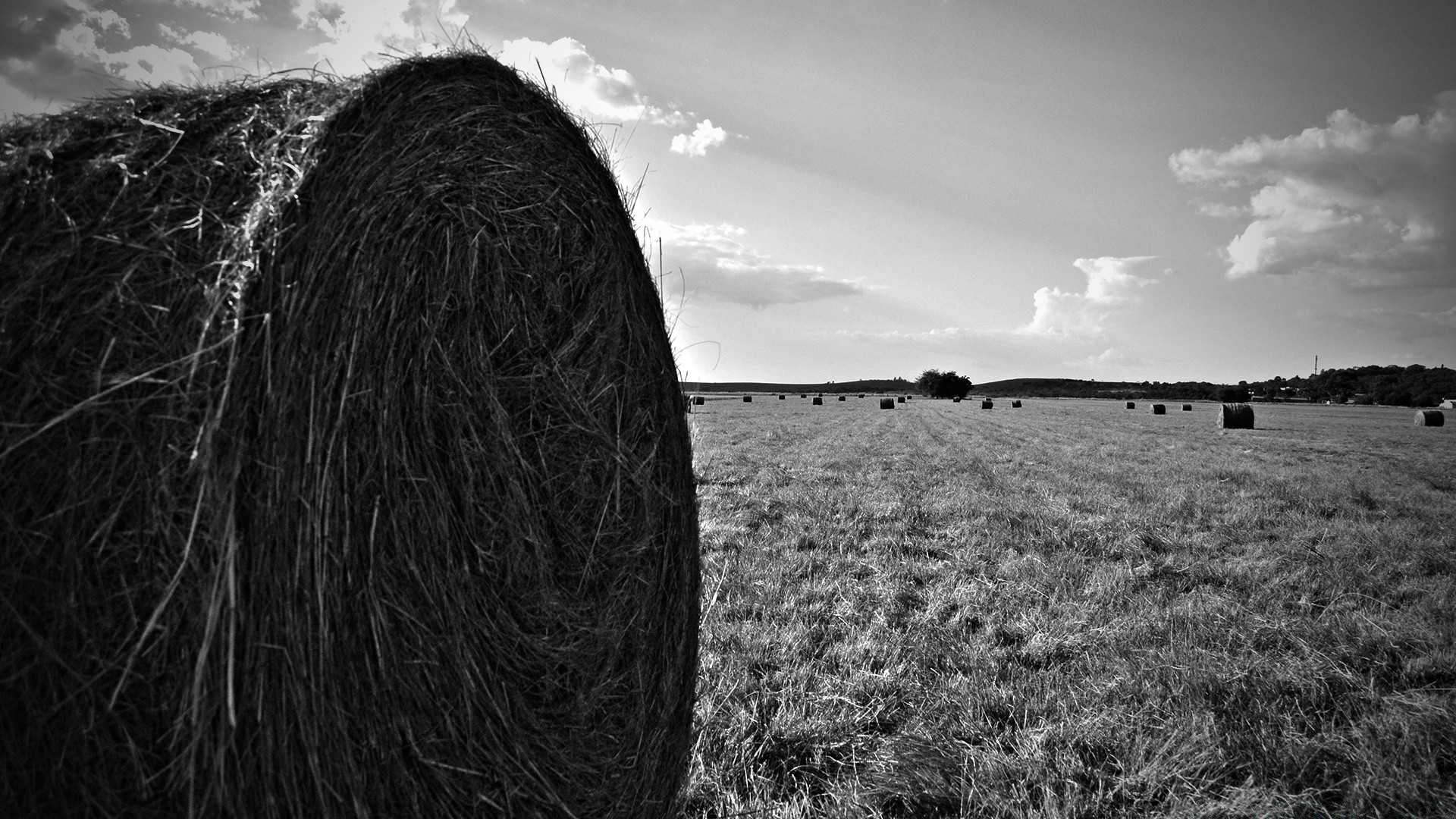 preto e branco paisagem natureza campo céu grama rural nuvem monocromático campo ao ar livre fazenda