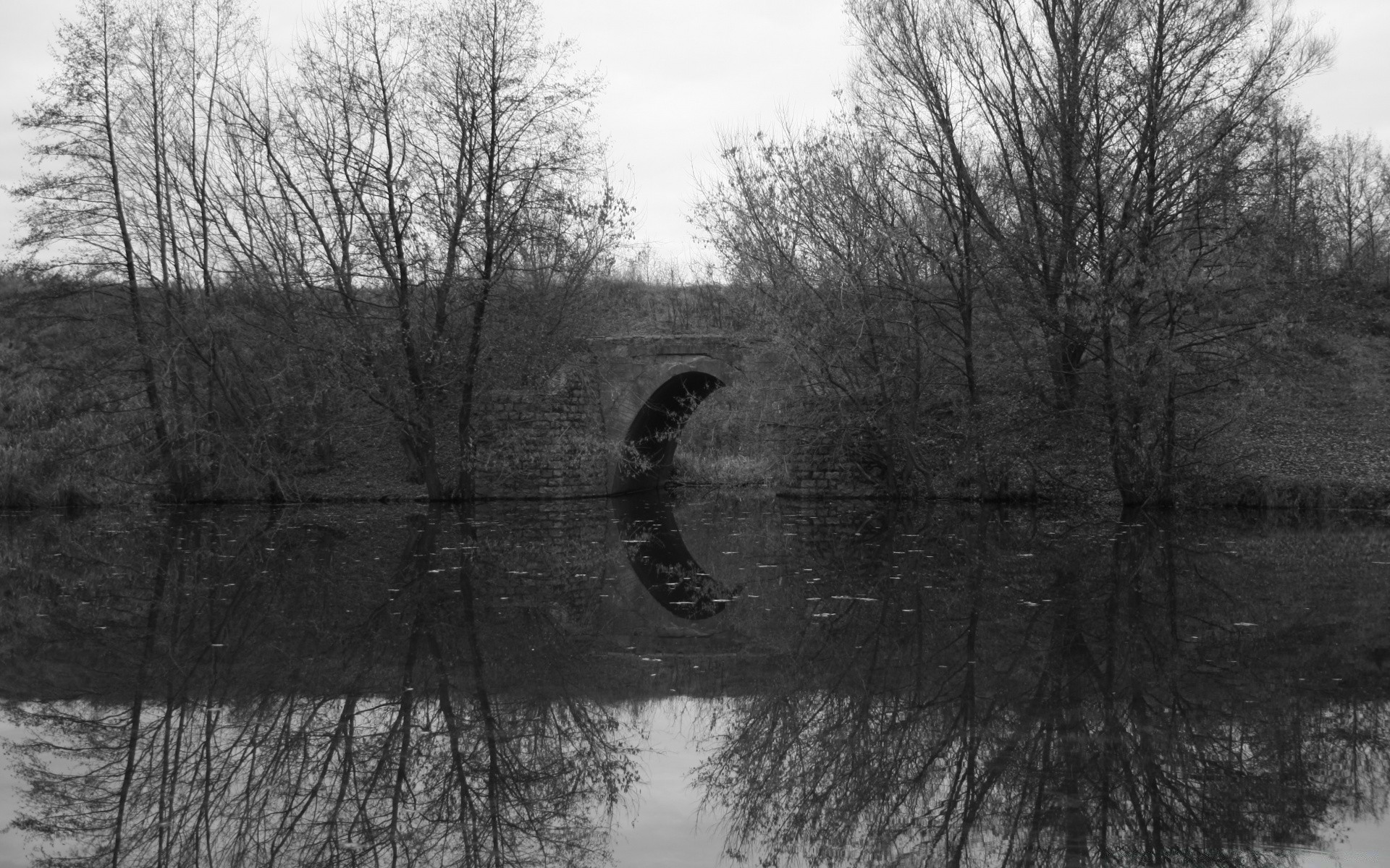 czarno-białe drzewo zimowe odbicie drewna krajobraz pogoda woda rzeka park natura mgła jezioro sezon odkryty basen środowisko