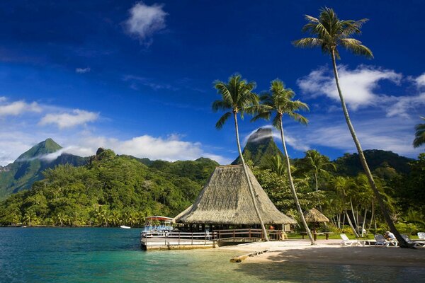 Tropical beach and house , near the ocean