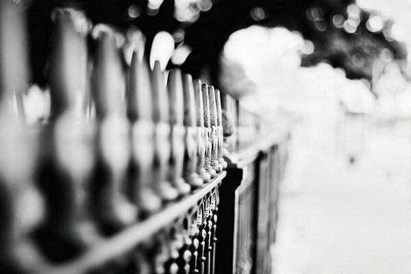 Close-up black and white photo of the fence