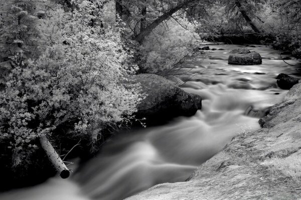 Photographie infrarouge noir et blanc