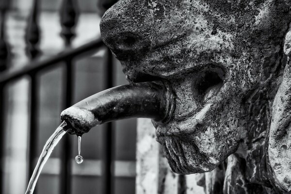 Escultura de perro y grifo de agua