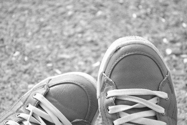 Black and white photo of sneakers