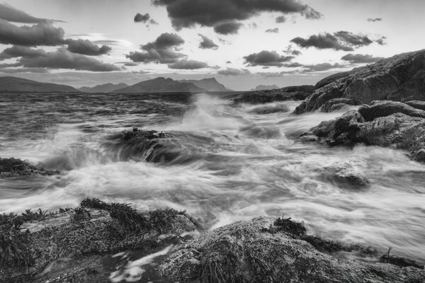 Image noire et blanche de mer