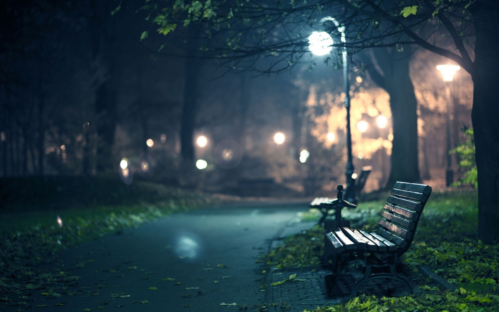 other city dawn tree landscape light wood water bench sun rain sunset park nature reflection outdoors shadow travel