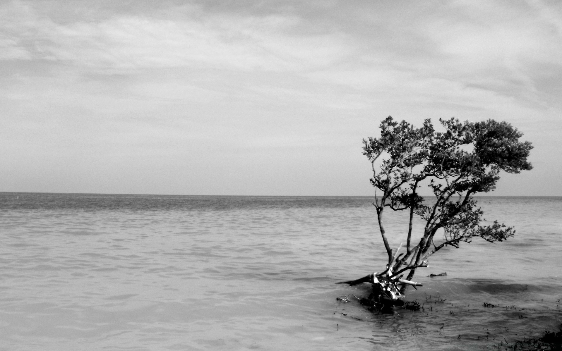 czarno-białe wody morze plaża monochromatyczny ocean krajobraz jednostka pływająca morza