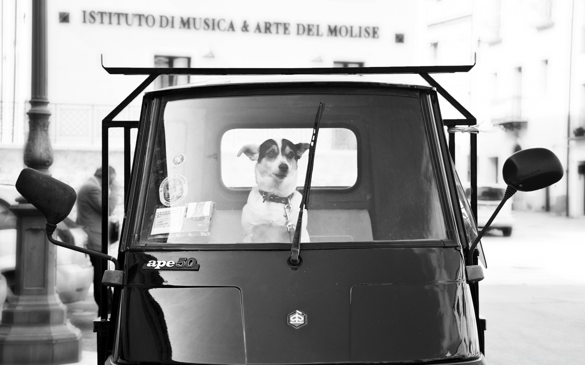 noir et blanc voiture monochrome un système de transport