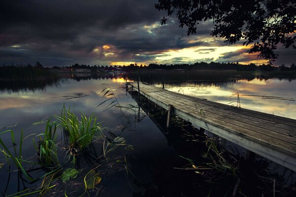 Paisaje en la naturaleza. Amanecer sobre el agua