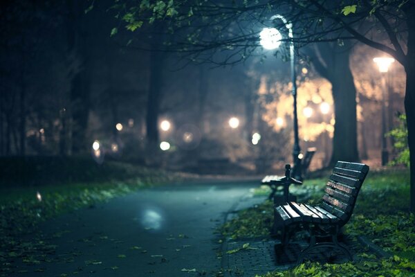 A bench under a lantern in the evening park