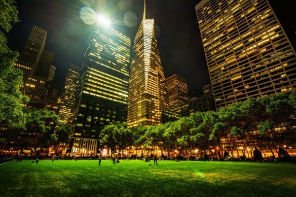 Night skyscrapers and evening park