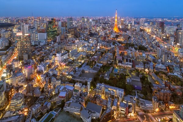 一个大城市。 顶视图