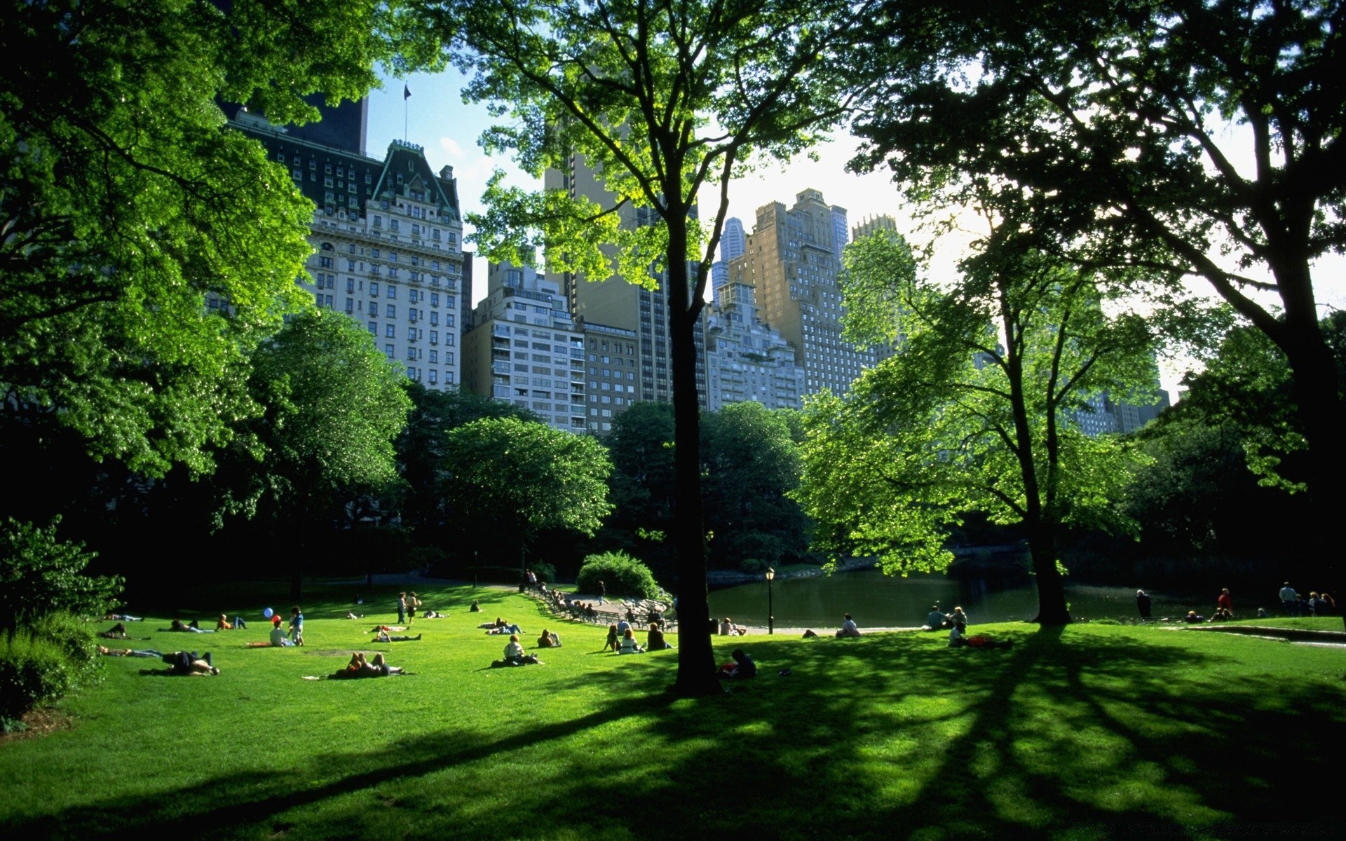 autres villes arbre parc herbe à l extérieur nature été paysage pelouse jardin bois feuille flore architecture