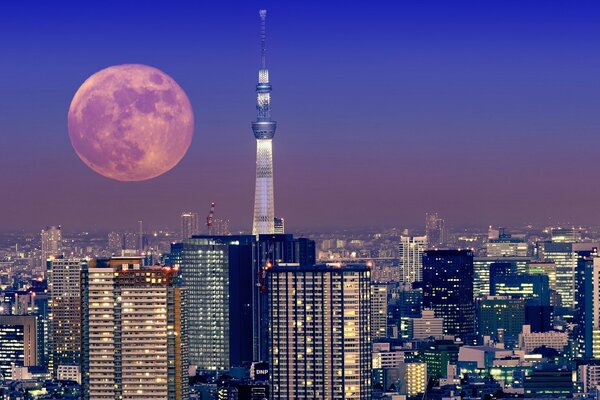 Tour de télévision Ostankino. Pleine lune. Beauté