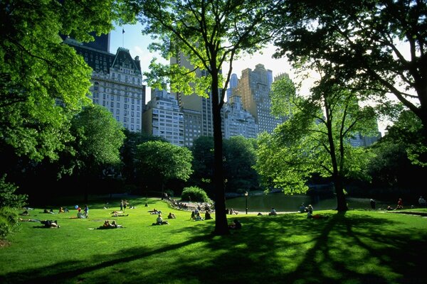 Descansar culturalmente en el parque el fin de semana