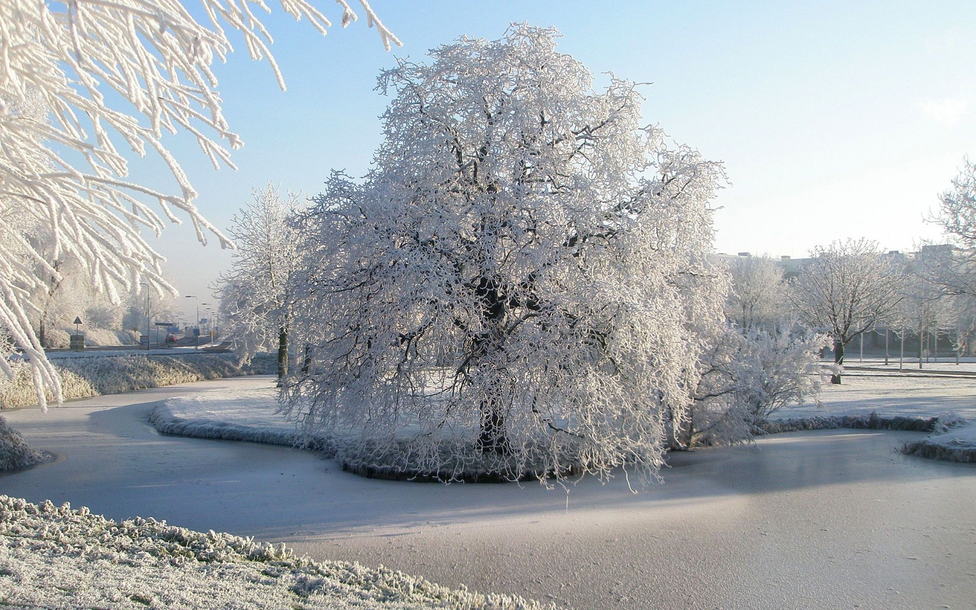 flüsse teiche und bäche teiche und bäche schnee winter frost eis kälte gefroren baum landschaft natur holz frostig straße wetter jahreszeit nebel schnee-weiß gutes wetter reiseführer landschaft