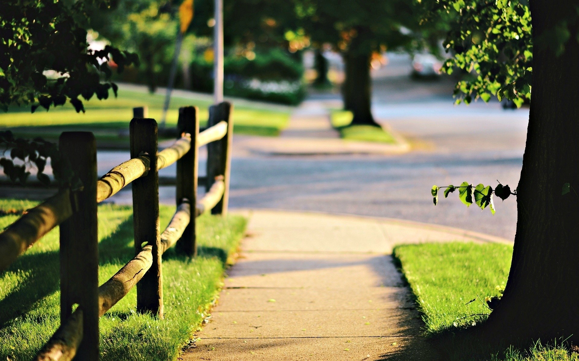 other city fence grass guidance road nature tree outdoors park summer garden street landscape leaf bench wood