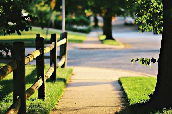 Park walk along the road by the fence