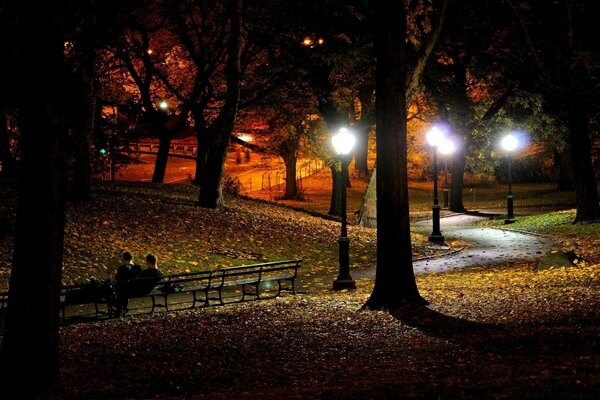 Park im Licht der Laternen und eine Bank