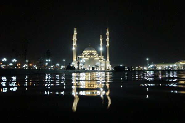 La mosquée de la ville de nuit fascine