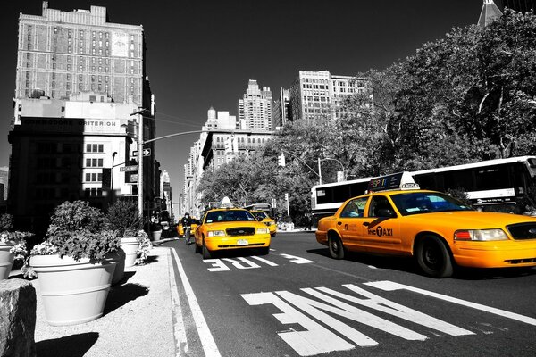 A lot of yellow cars in a gray city