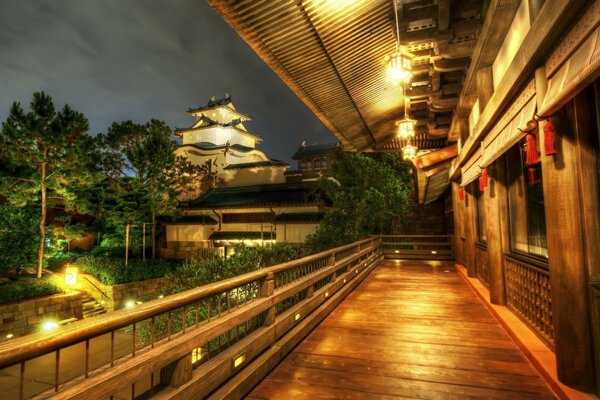 View from the terrace to the coniferous forest at night