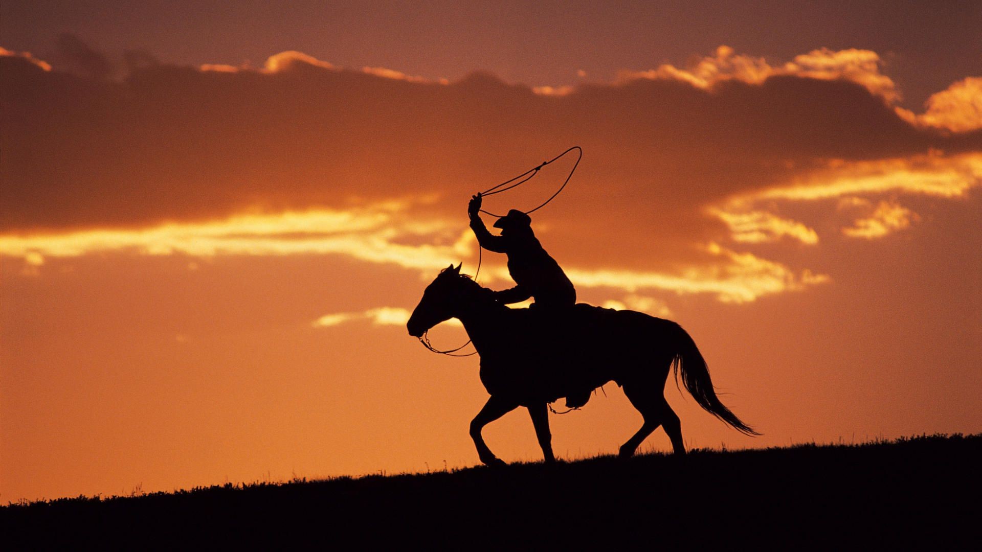 uomini cavalleria tramonto silhouette illuminato mammifero seduto cavallo sera equestre alba