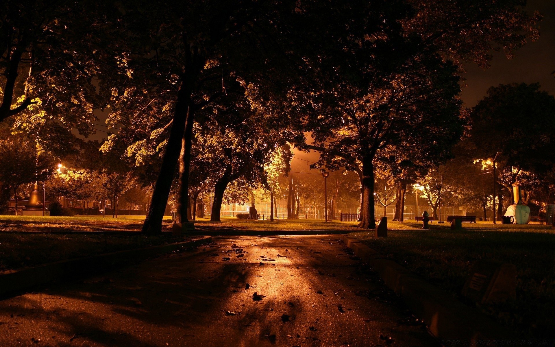 autres villes arbre lumière aube route rue automne brouillard paysage coucher de soleil sombre brouillard