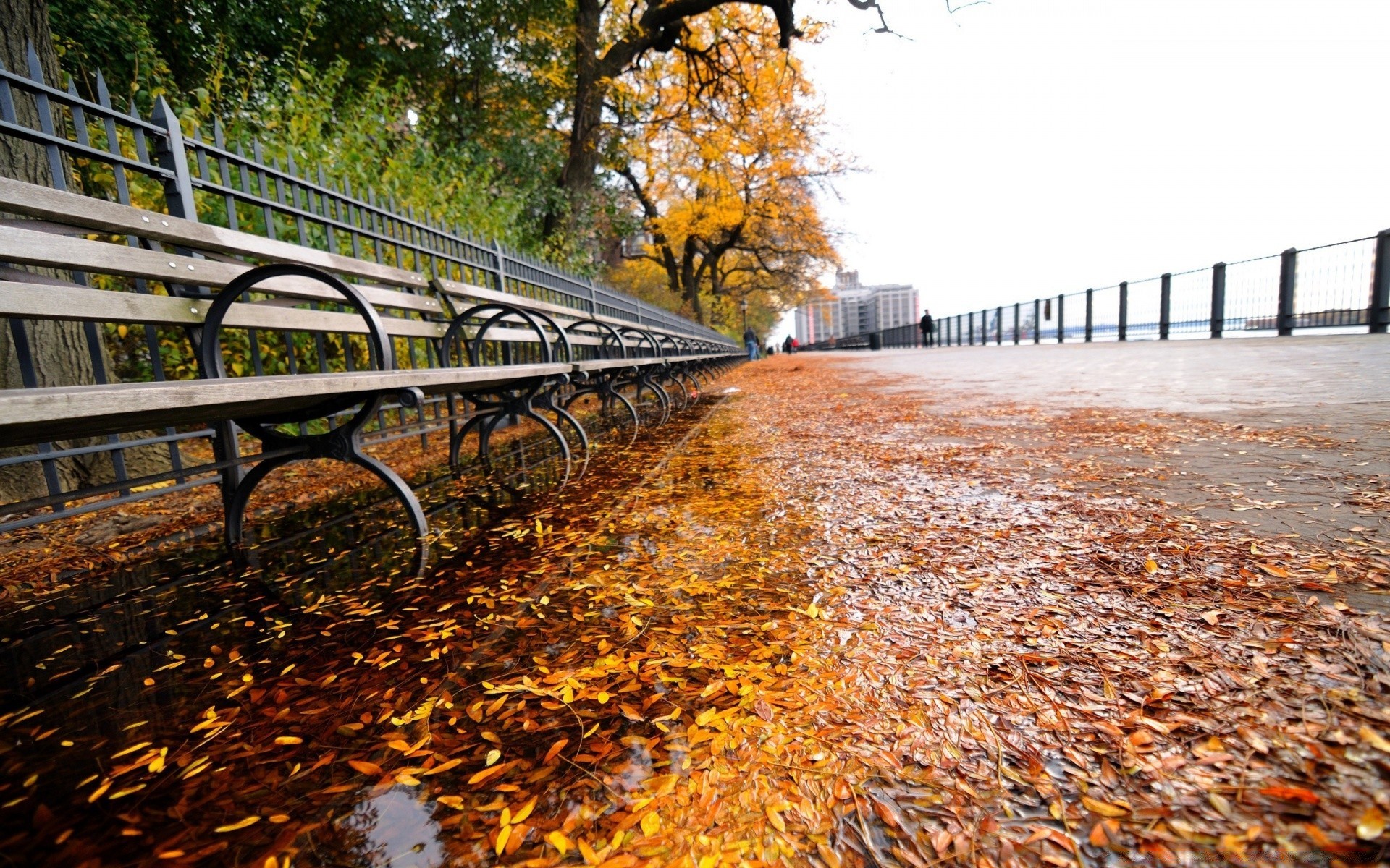 autres villes automne nature bois route saison feuille arbre guide parc pont paysage extérieur couleur eau lumière environnement voyage scénique