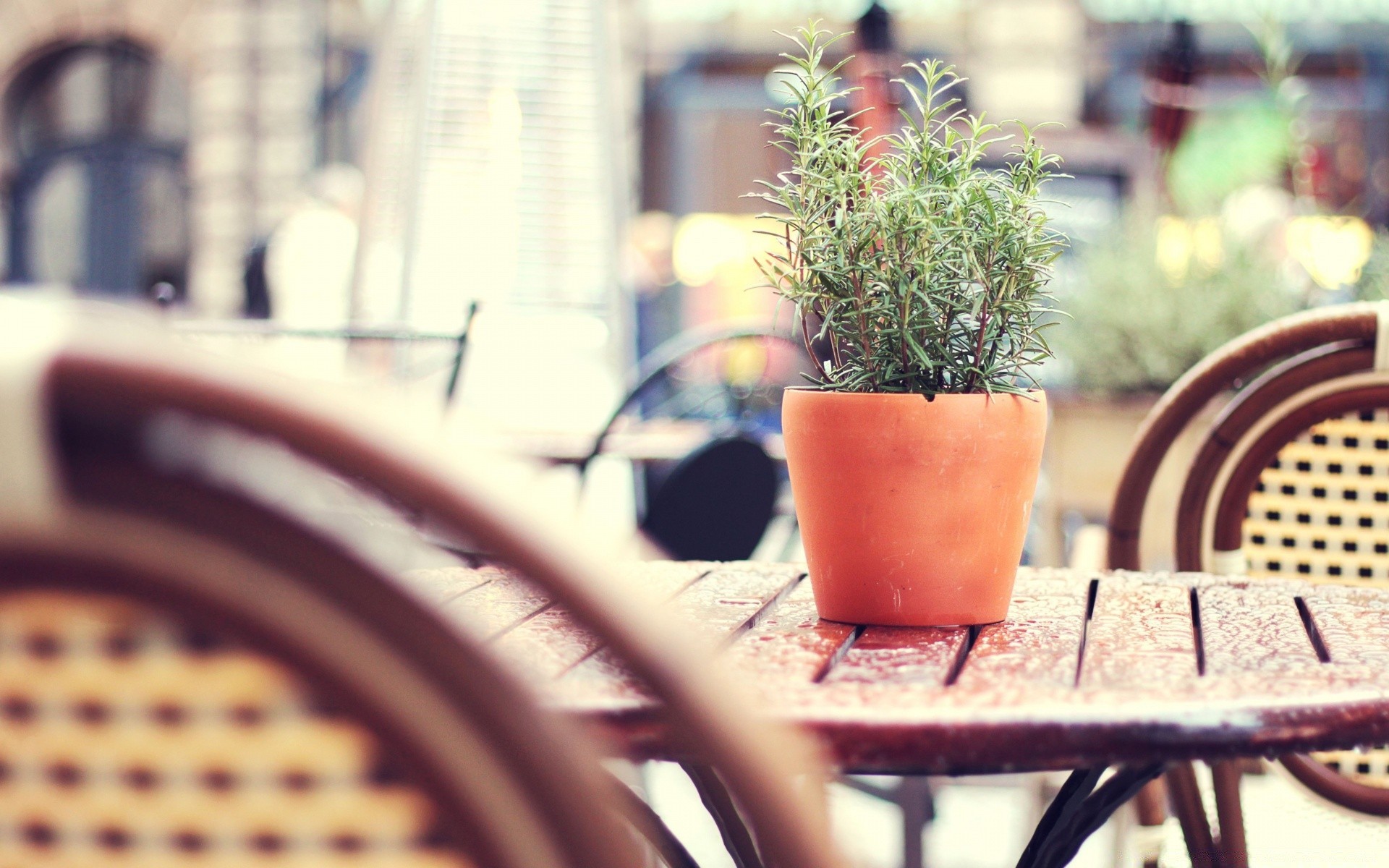 andere städte tabelle restaurant drinnen möbel reisen ort stuhl essen terrasse im freien unschärfe trinken urlaub traditionelle holz kaffee entspannung tee