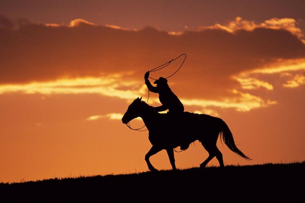 Silhouette eines Reiters mit Lasso bei Sonnenuntergang