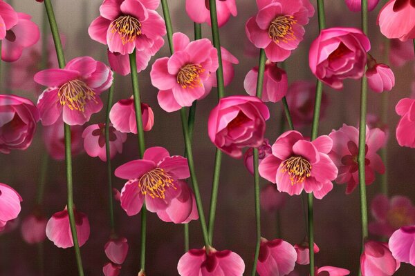 La naturaleza nos ha regalado hermosas flores