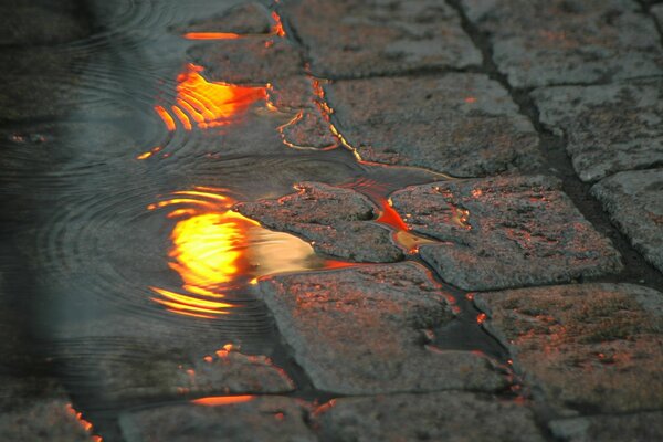 Reflection of the setting sun in a puddle