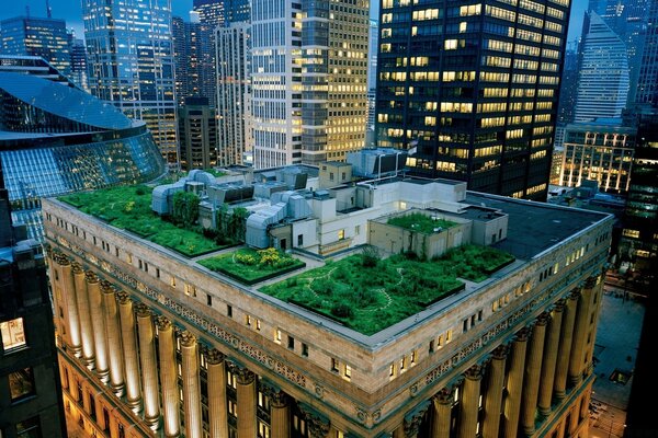 An island of greenery among gray skyscrapers