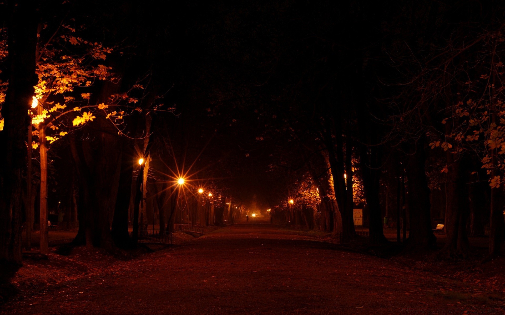 outras cidades luz chama paisagem à noite árvore escuro silhueta