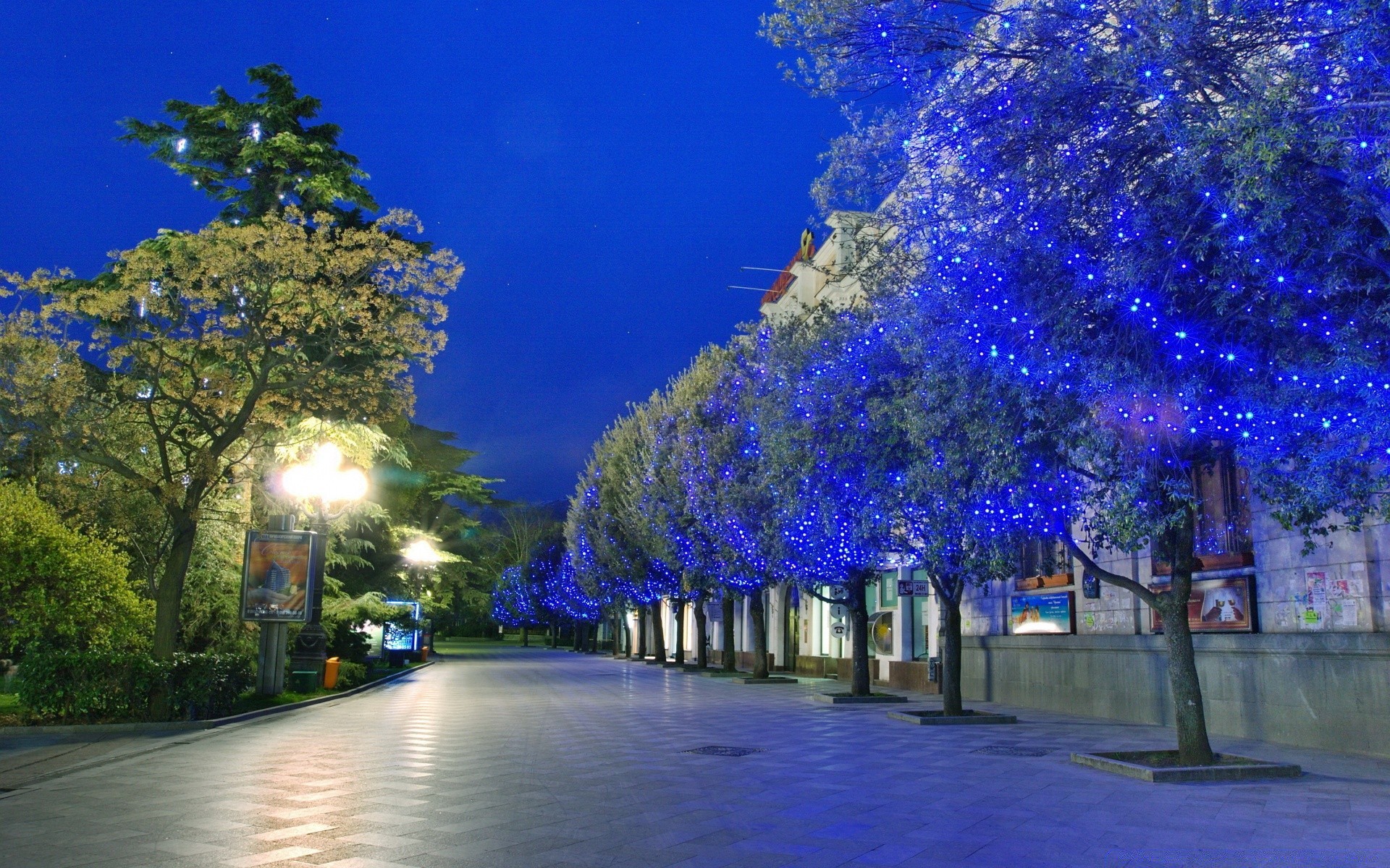 altre città albero viaggi all aperto paesaggio cielo natura luce parco