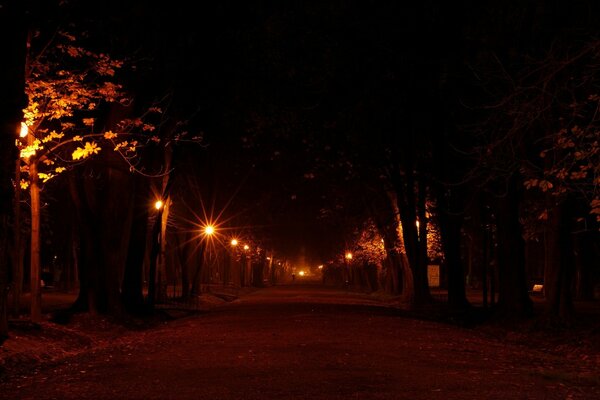 Silhouette solitaria nel parco notturno di Dali