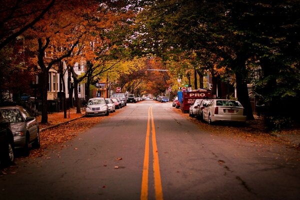 Herbststraße mit geparkten Autos