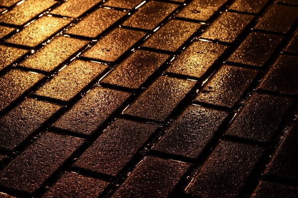 Wet paving stones. Night and city