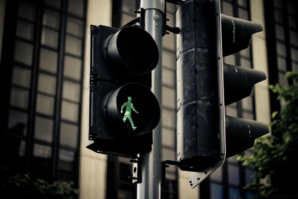 Green pedestrian traffic light