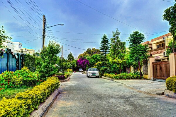 Architecture of small towns. Greenery, flowers