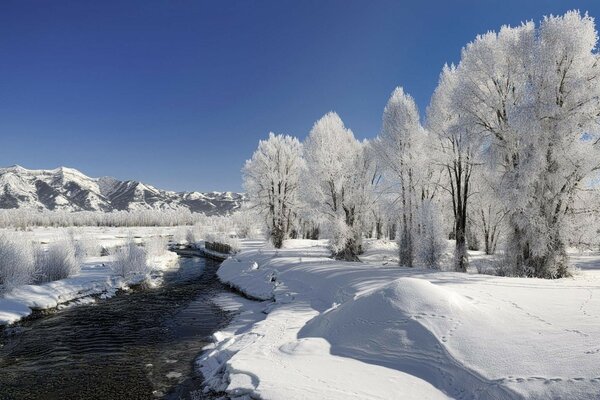 早春的河流在白雪复盖的森林里