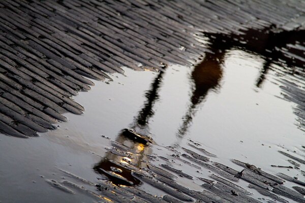 Reflection of a lantern in a puddle on a paving stone