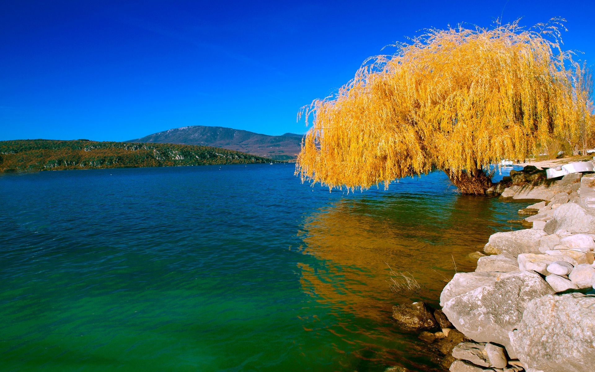 trees water nature landscape sky travel lake scenic outdoors wood fair weather summer tree reflection