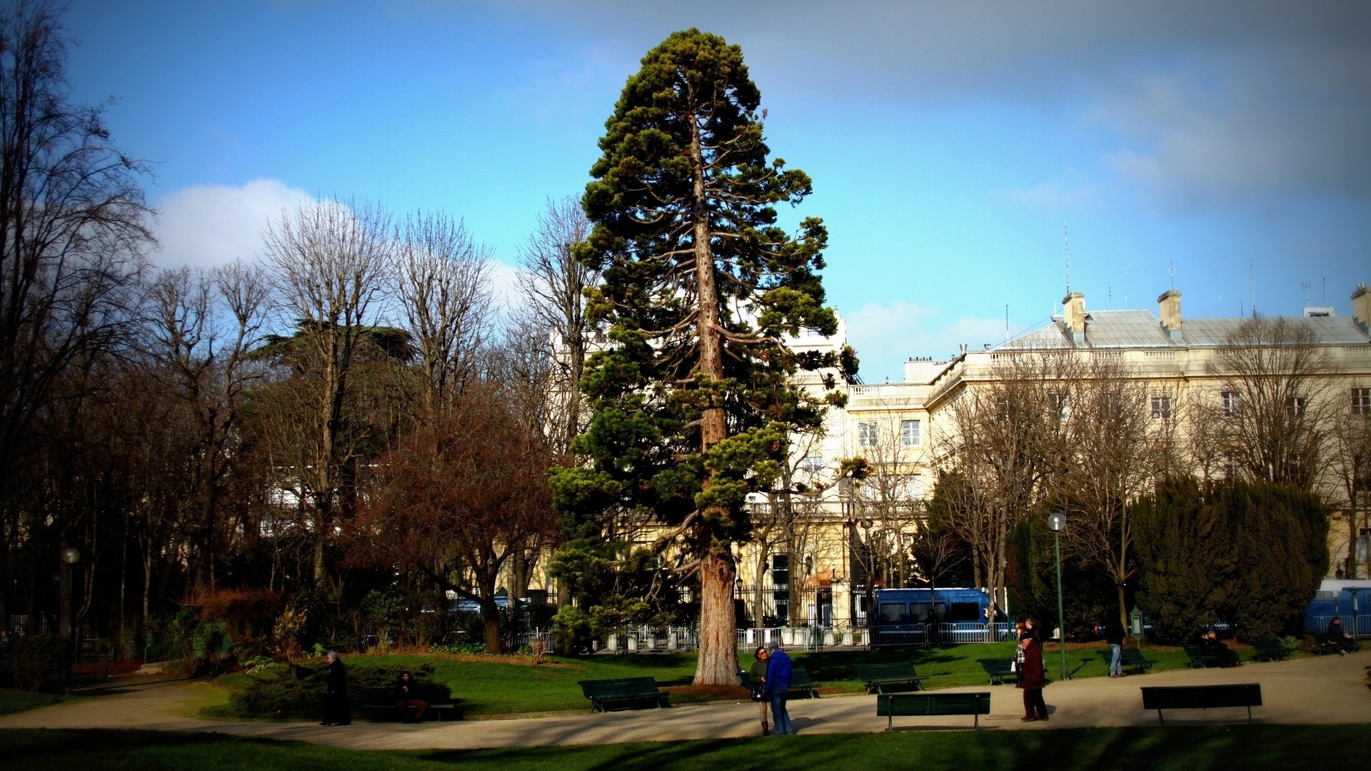 andere städte baum im freien architektur reisen himmel park stadt haus landschaft